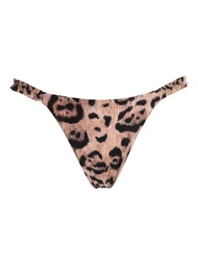Agua By Agua Bendita Leopard-print Bikini Bottoms In Multi