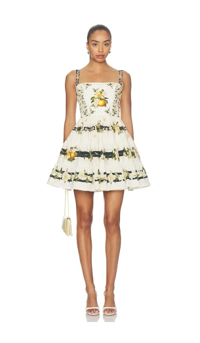 Agua By Agua Bendita Lima Valle Floral-print Tiered Mini Dress In Multi
