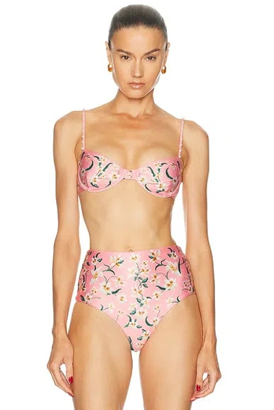 Agua By Agua Bendita Magdalena Bikini Top In Multi