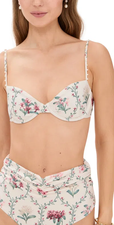 Agua By Agua Bendita Magdalena Orquidea Bikini Top In Multi