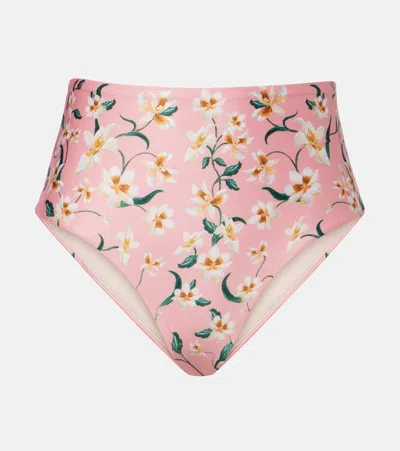 Agua By Agua Bendita Magenta Floral Bikini Bottoms In Pink