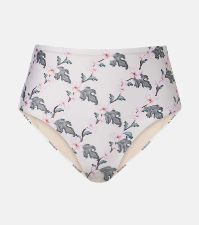 Agua By Agua Bendita Magenta Anhelo Bikini Bottoms Multicolor