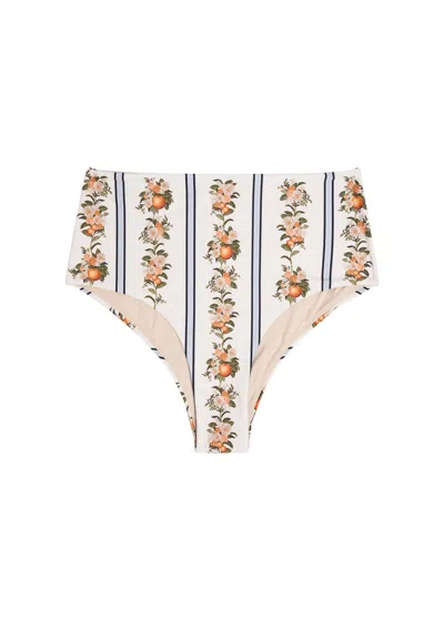 Agua By Agua Bendita Magenta Floral-print Bikini Briefs In Brown