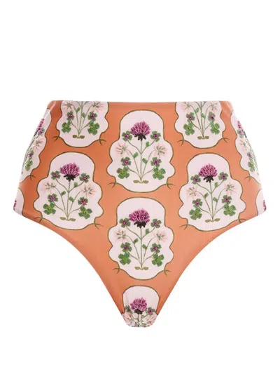 Agua By Agua Bendita Magenta Trébol Embroidered Bikini Bottoms In Red