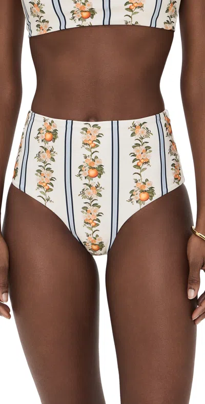 Agua By Agua Bendita Magenta Valle Printed Stretch Recycled Bikini Briefs In Multi