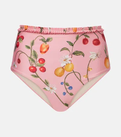 Agua By Agua Bendita Nopal Printed Bikini Bottoms In Pink