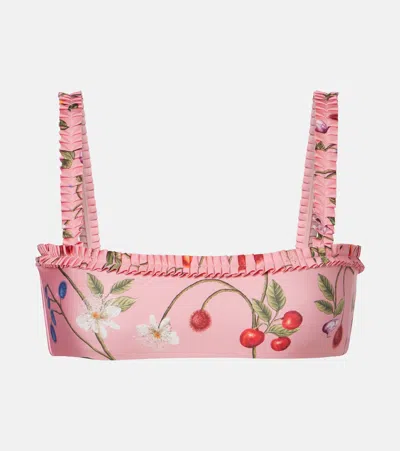 Agua By Agua Bendita Olmo Printed Bikini Top In Pink