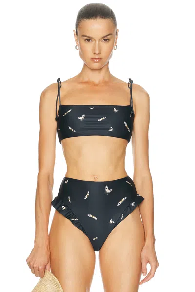Agua By Agua Bendita Primavera Bikini Top In Black