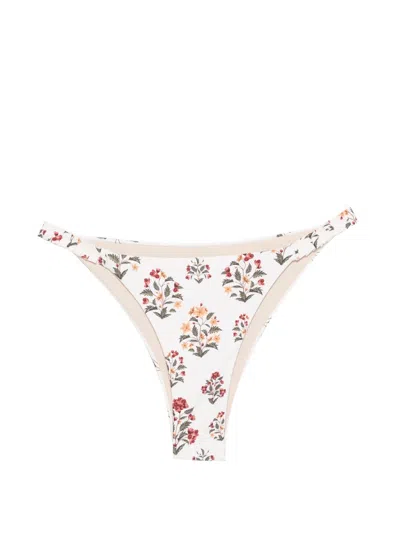 Agua By Agua Bendita Vera Andes Ruffled Floral-print Stretch Recycled Bikini Briefs In Multi