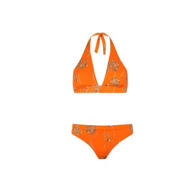 Aguaclara Women's Orange Riad Missy Halter Top - Classic Bottom