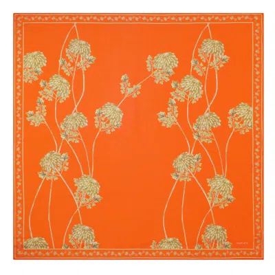Aguaclara Women's Orange Riad Pareo