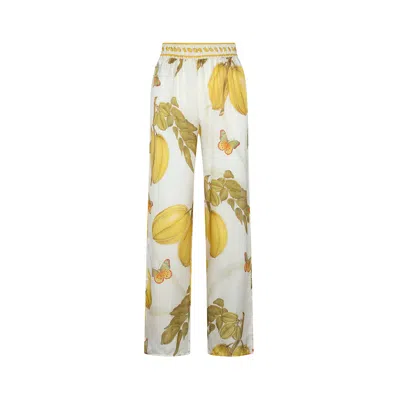 Aguaclara Women's Yellow Fruits De L'est Pants
