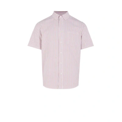 Aigle Striped Cotton Shirt In Pink