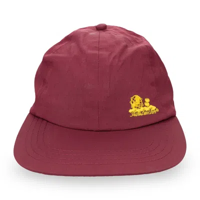Aimé Leon Dore Brown Unisphere Nylon Hat In Burgundy