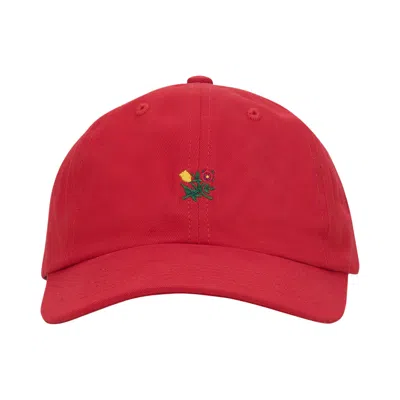 Pre-owned Aimé Leon Dore Brushed Crest Hat 'red' | Men's Size Onesize