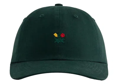 Pre-owned Aimé Leon Dore Men's Aime Leon Dore Brushed Crest Hat In Green