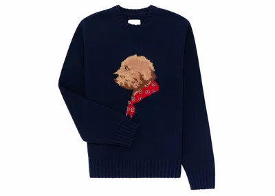 Pre-owned Aimé Leon Dore Men's Aime Leon Dore Collegiate Buddy Knit Sweater In Blue