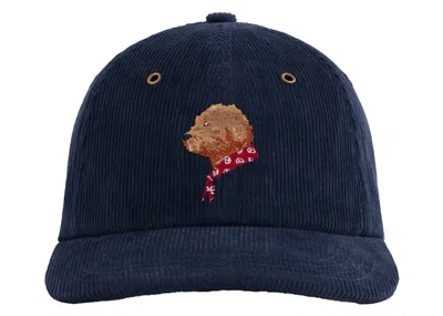 Pre-owned Aimé Leon Dore Men's Aime Leon Dore Corduroy Buddy Hat In Navy Blue