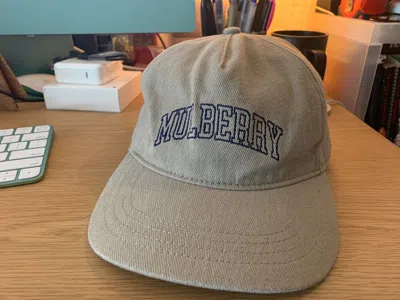 Pre-owned Aimé Leon Dore Mulberry Hat - Snapback In Khaki