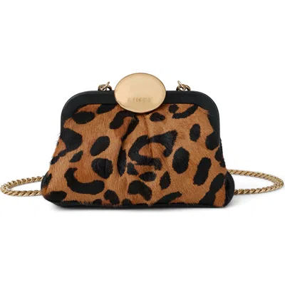 Aimee Full Circle Mini Haircalf Frame Crossbody Bag In Brown