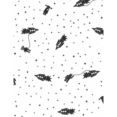 Pre-owned Aimee Wilder Astrobots Designer Wallpaper In Charcoal 'black And White'