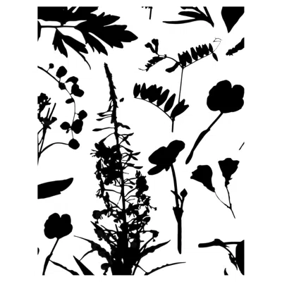Pre-owned Aimee Wilder Bloom Floral Wallpaper Black And White, Cinder