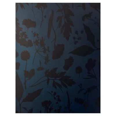 Pre-owned Aimee Wilder Bloom Metallic Type Ii Wallpaper In Ilta (sample) In Black