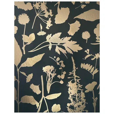 Pre-owned Aimee Wilder Bloom Metallic Type Ii Wallpaper In Lemmitty (sample) In Black