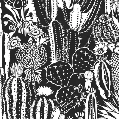 Pre-owned Aimee Wilder Cactus Spirit Designer Wallpaper In Contrast 'white And Black'