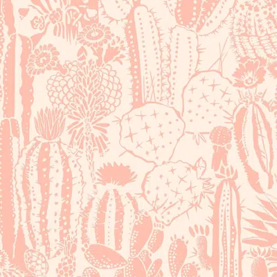 Pre-owned Aimee Wilder Cactus Spirit Designer Wallpaper In Splendid 'salmon Pink And Blush'