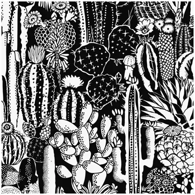 Pre-owned Aimee Wilder Cactus Spirit Type Ii Eco-friendly Wallpaper (sample) In Black