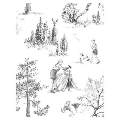 Pre-owned Aimee Wilder Camping Toile De Jouy Wallpaper Black And White, Charbon