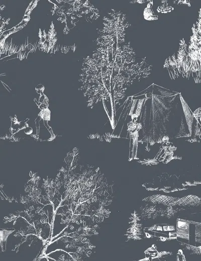 Pre-owned Aimee Wilder Camping Toile De Jouy Wallpaper Dark Blue Grey And White, Iris In Gray
