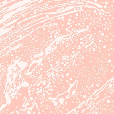 Pre-owned Aimee Wilder Cosmic Splash Designer Wallpaper In Dune 'soft Pink And Peach'