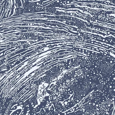 Pre-owned Aimee Wilder Cosmic Splash Designer Wallpaper In Lazurite 'white And Navy' In Gray