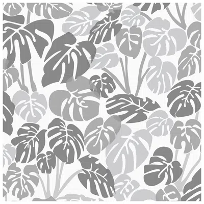 Pre-owned Aimee Wilder Deliciosa Designer Wallpaper In Smoke 'cool Greys And Charcoal' In Black