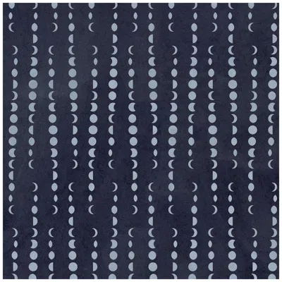 Pre-owned Aimee Wilder Earthlight Designer Wallpaper In Vega 'pale Blue And Navy Dark Blue'