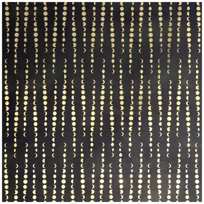 Pre-owned Aimee Wilder Earthlight Metallic Type Ii Wallpaper (sample) In Black