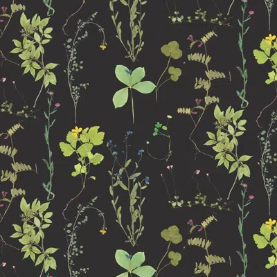 Pre-owned Aimee Wilder Herbario Designer Wallpaper In Botanical 'multi-color Greens On Black'