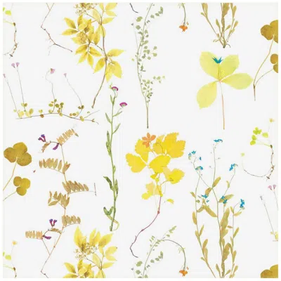 Pre-owned Aimee Wilder Herbario Designer Wallpaper In Canary 'multicolor Yellows On White' In Gray