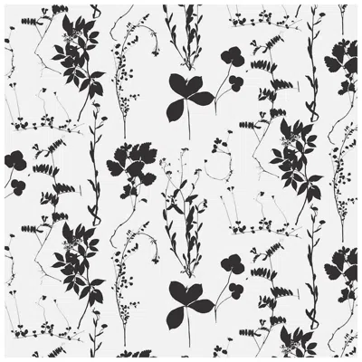 Pre-owned Aimee Wilder Herbario Designer Wallpaper In Cinder 'black And White' In Gray