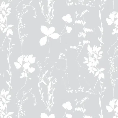 Pre-owned Aimee Wilder Herbario Designer Wallpaper In Dove 'white And Grey' In Gray