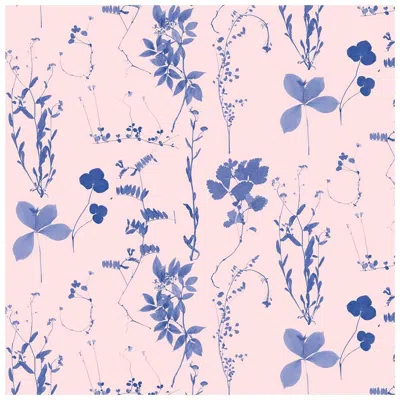 Pre-owned Aimee Wilder Herbario Designer Wallpaper In Euphoria 'blue On Peachy Pink' In Beige