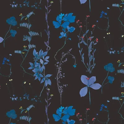 Pre-owned Aimee Wilder Herbario Designer Wallpaper In Tesla Blue 'multicolor Blues On Black'