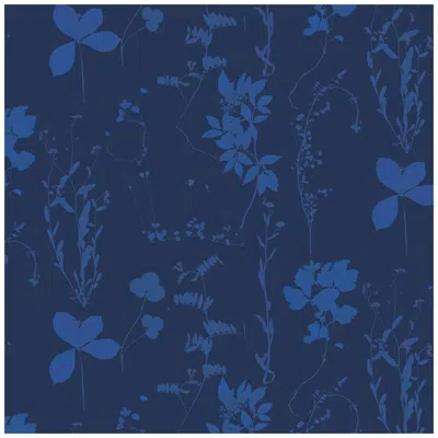 Pre-owned Aimee Wilder Herbario Designer Wallpaper In Umbra 'cobalt On Navy' In Purple
