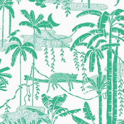 Pre-owned Aimee Wilder Jungle Dream Designer Wallpaper In Monteverde 'green And White' In Gray