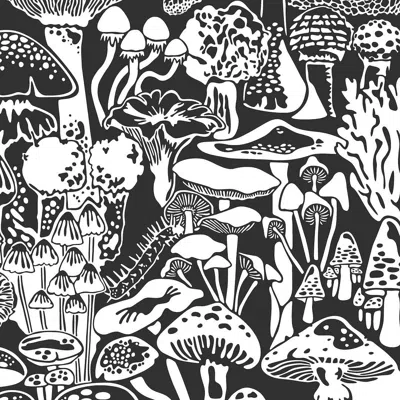 Pre-owned Aimee Wilder Mushroom City Designer Wallpaper In Contrast 'white And Soft Black'