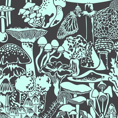 Pre-owned Aimee Wilder Mushroom City Designer Wallpaper In Mint-chip 'mint On Charcoal' In Black