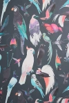 Aimee Wilder Paradise Birds Wallpaper