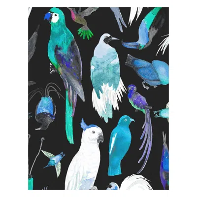 Pre-owned Aimee Wilder Paradise Birds Tropical Watercolor Wallpaper, Aya In Black